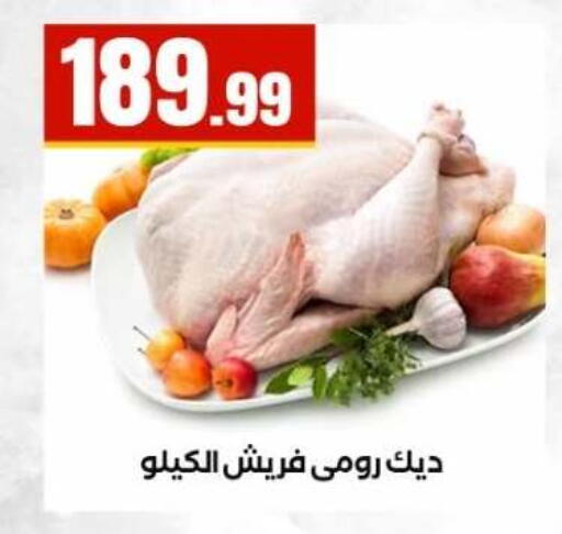 available at المحلاوي ستورز in Egypt - القاهرة