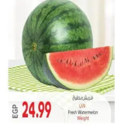 Watermelon available at New.Penny.market in Egypt - Cairo