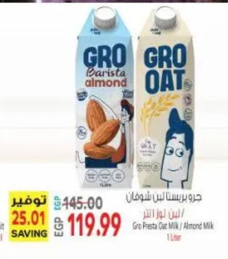 available at New.Penny.market in Egypt - Cairo