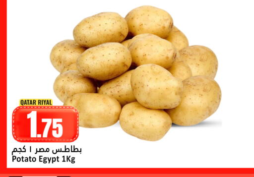 Potato from Qatar Egypt available at دانة هايبرماركت in قطر - الشحانية