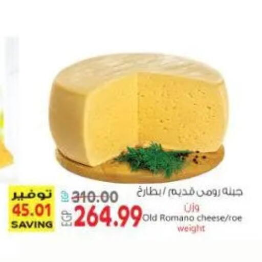 available at New.Penny.market in Egypt - Cairo