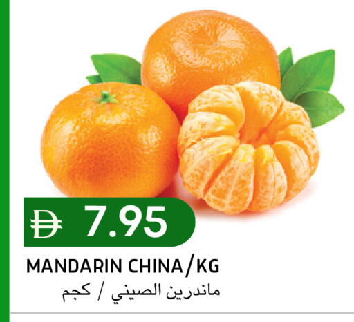 Mandarin from China available at Select Market in UAE - Abu Dhabi