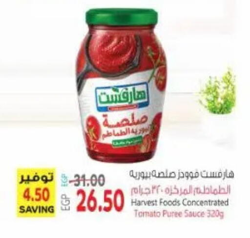 Tomato available at New.Penny.market in Egypt - Cairo