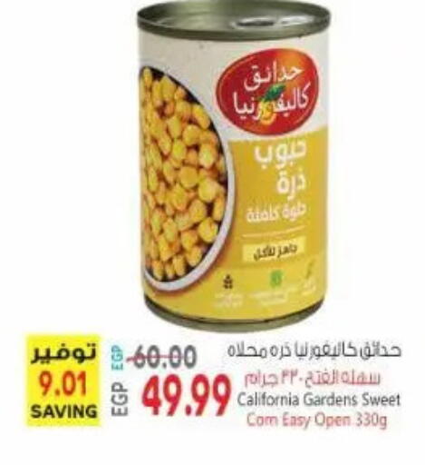 available at New.Penny.market in Egypt - Cairo