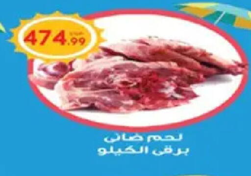 available at أولاد المحاوى in Egypt - القاهرة