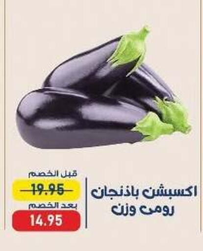 available at Exception Market in Egypt - Cairo