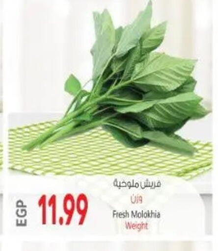 available at New.Penny.market in Egypt - Cairo