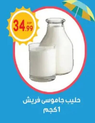 available at أولاد المحاوى in Egypt - القاهرة