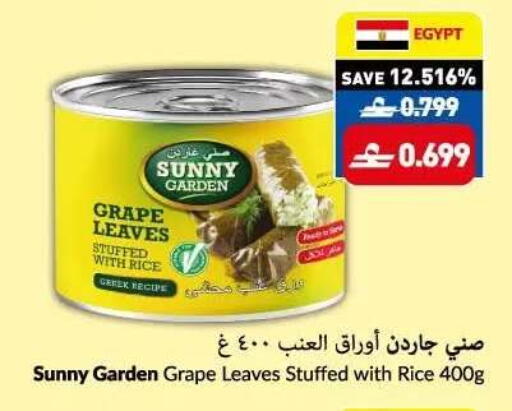 available at VIVA Supermarket in Oman - Muscat
