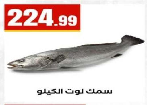 available at مارت فيل in Egypt - القاهرة