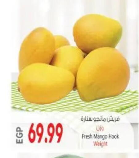 Mango available at New.Penny.market in Egypt - Cairo