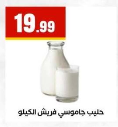 available at المحلاوي ستورز in Egypt - القاهرة