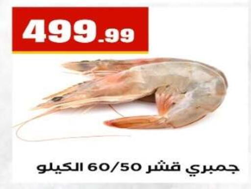 available at مارت فيل in Egypt - القاهرة