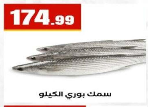 available at مارت فيل in Egypt - القاهرة