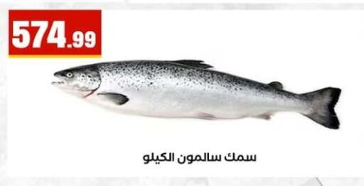 available at مارت فيل in Egypt - القاهرة