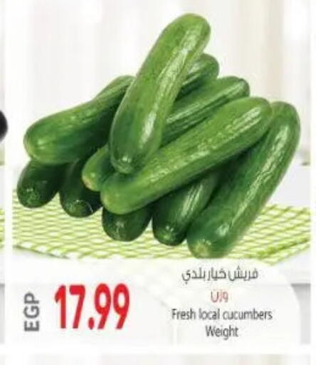 available at New.Penny.market in Egypt - Cairo