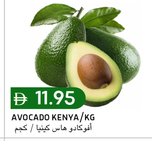 Avocado from Kenya available at Select Market in UAE - Abu Dhabi