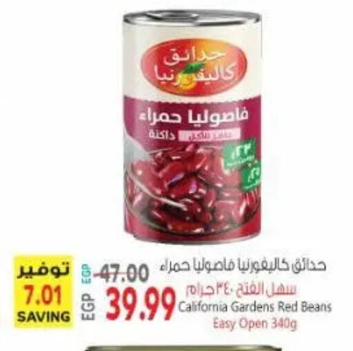 available at New.Penny.market in Egypt - Cairo