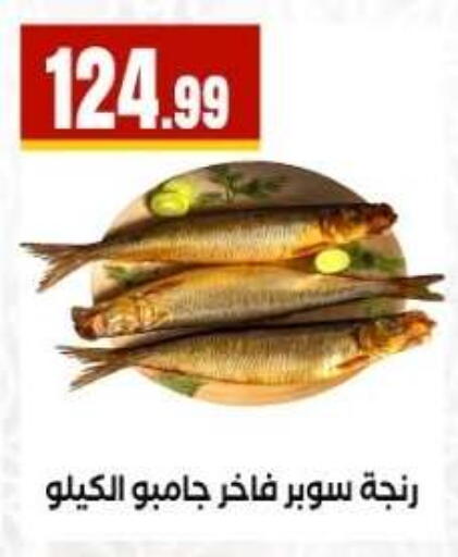 available at مارت فيل in Egypt - القاهرة