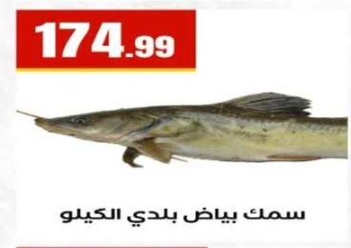 available at مارت فيل in Egypt - القاهرة