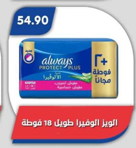 available at Bassem Market in Egypt - Cairo