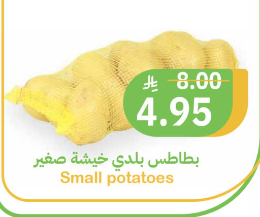 available at أسواق قاطبة in مملكة العربية السعودية, السعودية, سعودية - بريدة