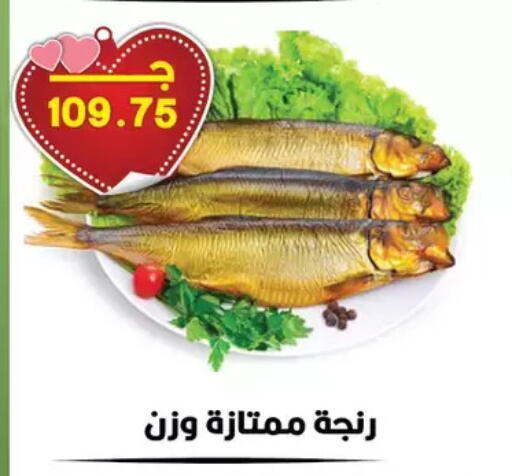 available at Hyper El Qudse in Egypt - Cairo