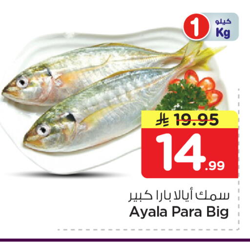 available at نستو in مملكة العربية السعودية, السعودية, سعودية - الرياض
