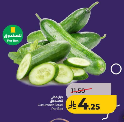 Cucumber from Saudi Arabia available at لولو هايبرماركت in مملكة العربية السعودية, السعودية, سعودية - الخبر‎