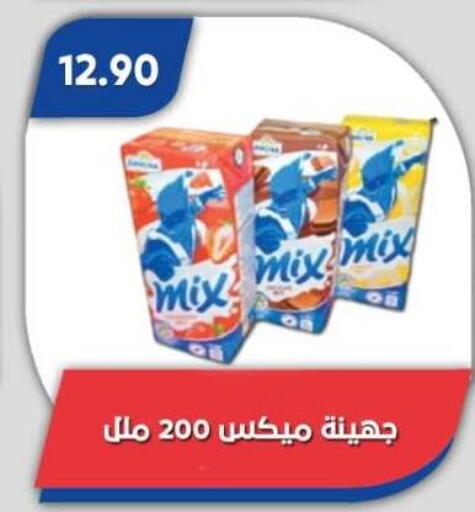 available at Bassem Market in Egypt - Cairo