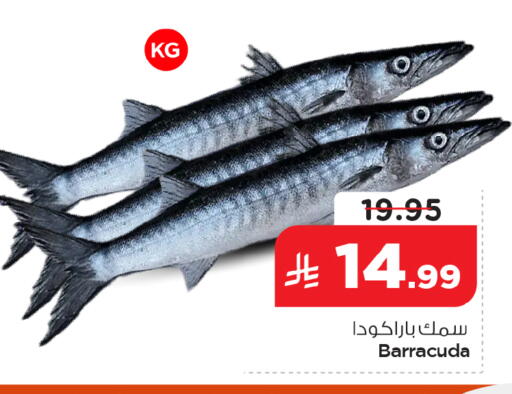 available at نستو in مملكة العربية السعودية, السعودية, سعودية - الخبر‎