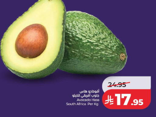 Avocado from South Africa available at لولو هايبرماركت in مملكة العربية السعودية, السعودية, سعودية - الطائف