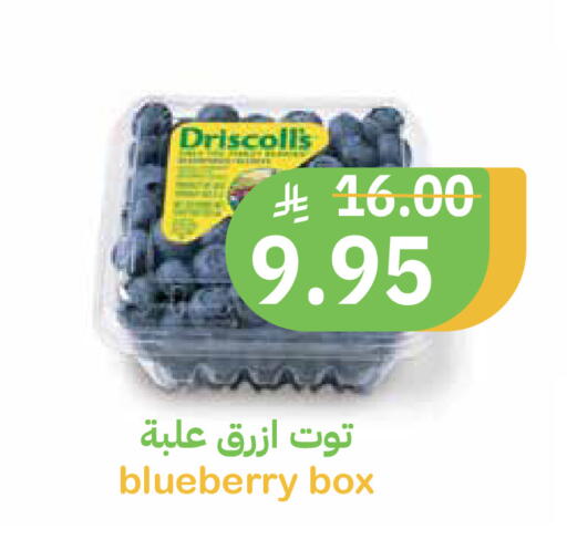 Blueberry BlueBerry available at أسواق قاطبة in مملكة العربية السعودية, السعودية, سعودية - بريدة
