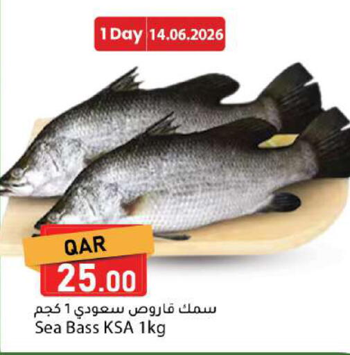 available at دانا ماركت in قطر - الريان