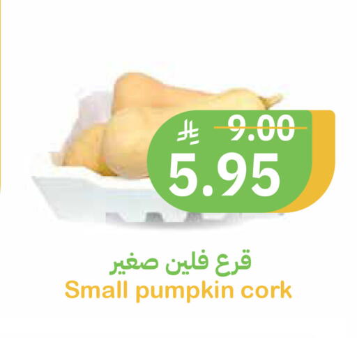 Pumpkin available at أسواق قاطبة in مملكة العربية السعودية, السعودية, سعودية - بريدة