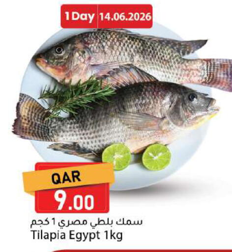 available at دانا ماركت in قطر - الريان