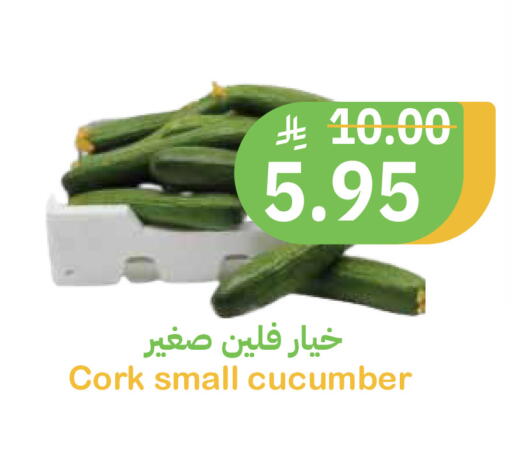 Cucumber available at أسواق قاطبة in مملكة العربية السعودية, السعودية, سعودية - بريدة