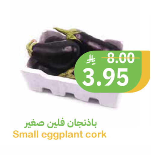 Eggplant available at أسواق قاطبة in مملكة العربية السعودية, السعودية, سعودية - بريدة