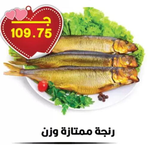 available at Hyper El Qudse in Egypt - Cairo
