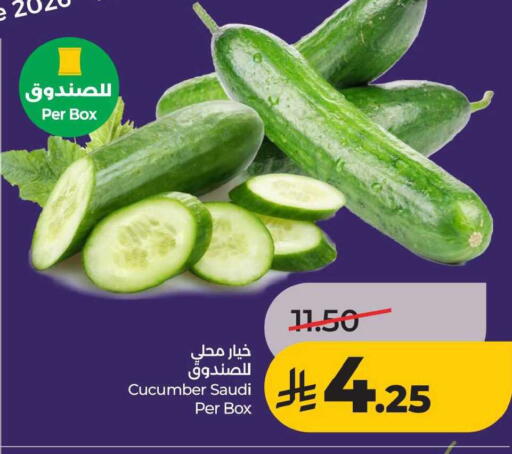 Cucumber from Saudi Arabia available at لولو هايبرماركت in مملكة العربية السعودية, السعودية, سعودية - الخبر‎