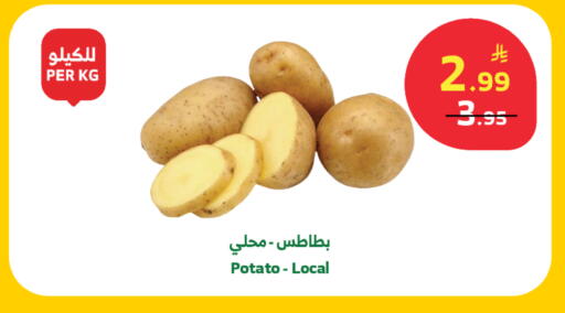 Potato available at الراية in مملكة العربية السعودية, السعودية, سعودية - خميس مشيط