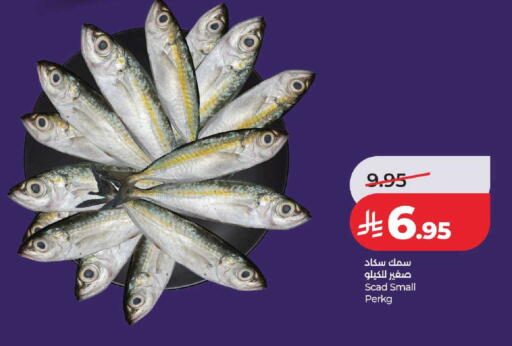available at LULU Hypermarket in KSA, Saudi Arabia, Saudi - Khamis Mushait
