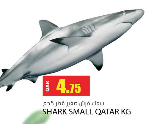 available at Grand Hypermarket in Qatar - Doha