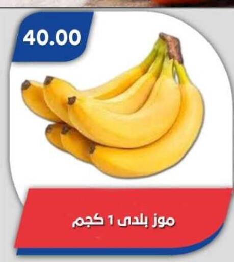 available at Bassem Market in Egypt - Cairo
