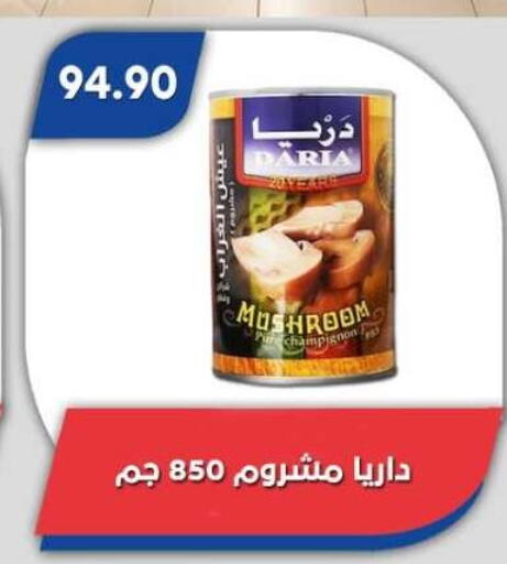 Mushroom available at Bassem Market in Egypt - Cairo