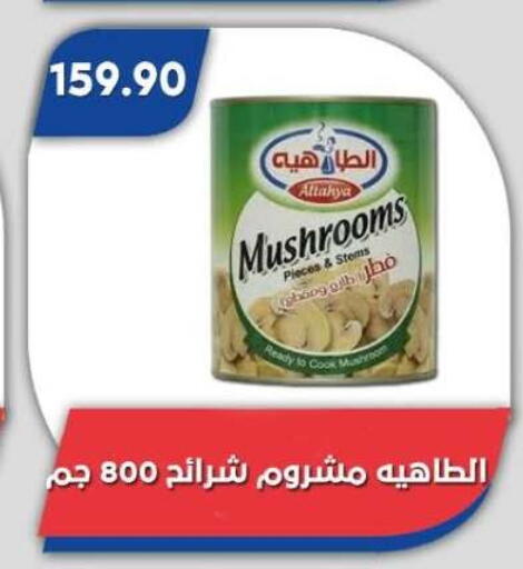 Mushroom available at Bassem Market in Egypt - Cairo