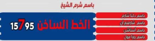 available at Bassem Market in Egypt - Cairo
