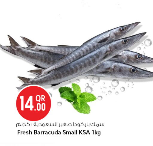 available at Safari Hypermarket in Qatar - Al Wakra