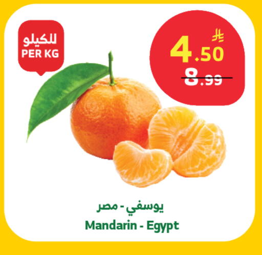 Mandarin from Egypt available at الراية in مملكة العربية السعودية, السعودية, سعودية - خميس مشيط