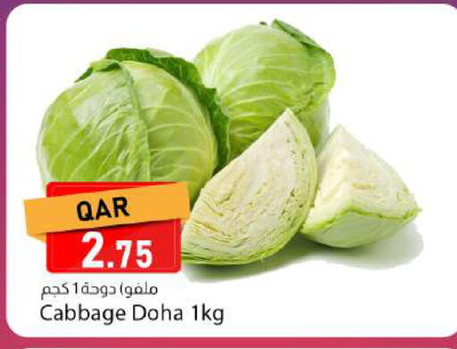 Cabbage from Qatar available at دانا ماركت in قطر - الريان